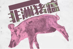 进口猪肉可能受阻，关于预防非洲猪瘟的几点建议[耀飞生物]