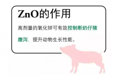 停用高剂量ZnO-未来仔猪腹泻路在何方？[耀飞生物]