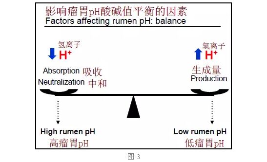 牛瘤胃酸中毒